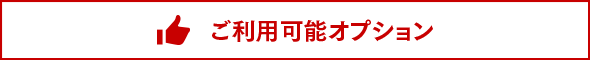 ご利用可能オプション